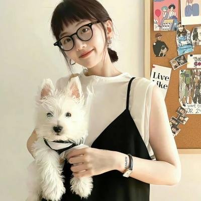 捕蝇纸